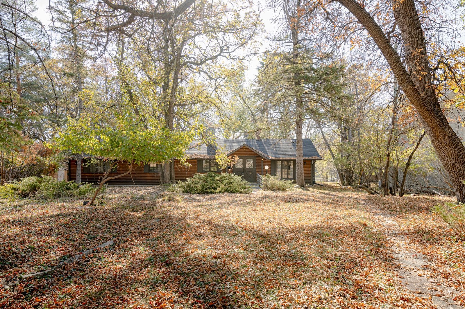 The Castelane Team Winnipeg's Top Real Estate Team